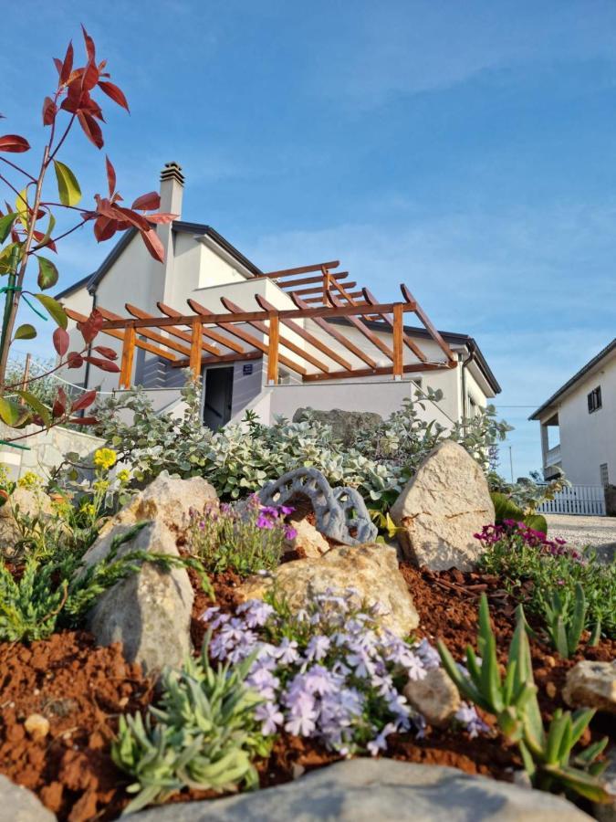 Apartman Luce Διαμέρισμα Brzac Εξωτερικό φωτογραφία